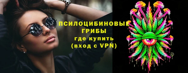 индика Братск
