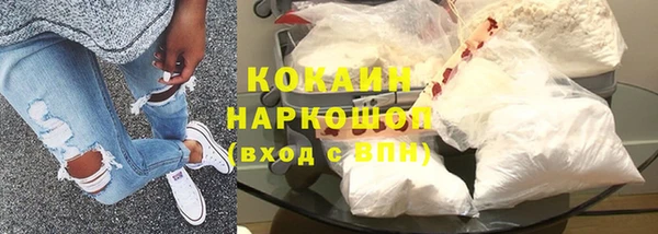 прущие грибы Нягань