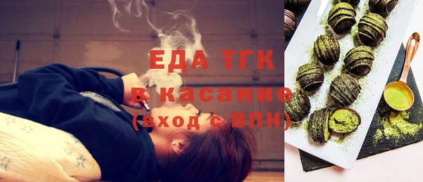 индика Братск