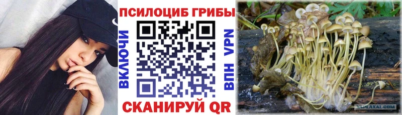 Псилоцибиновые грибы мухоморы Арсеньев