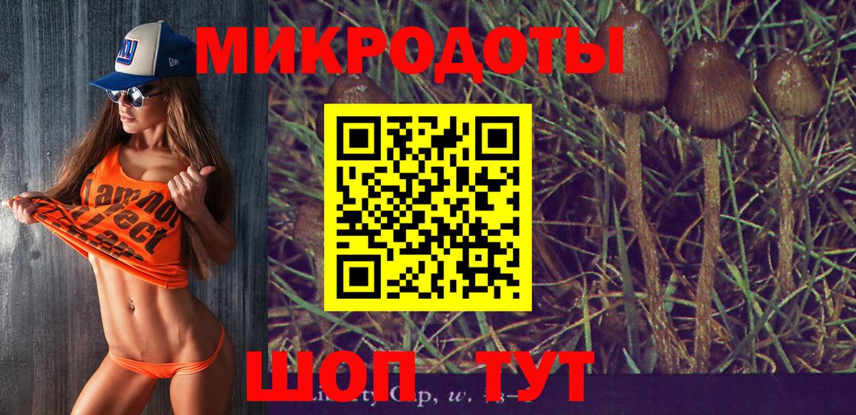 Псилоцибиновые грибы мухоморы  Вход с VPN  Арсеньев 